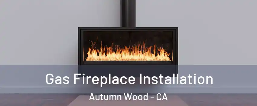 Gas Fireplace Installation Autumn Wood - CA