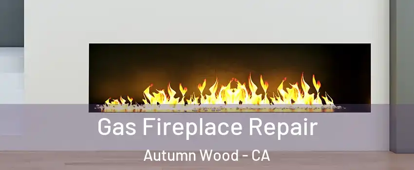 Gas Fireplace Repair Autumn Wood - CA