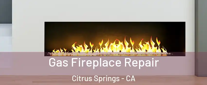 Gas Fireplace Repair Citrus Springs - CA