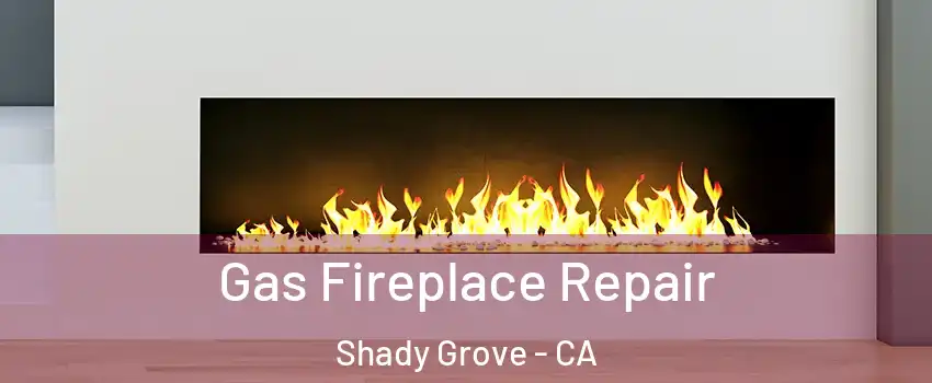Gas Fireplace Repair Shady Grove - CA