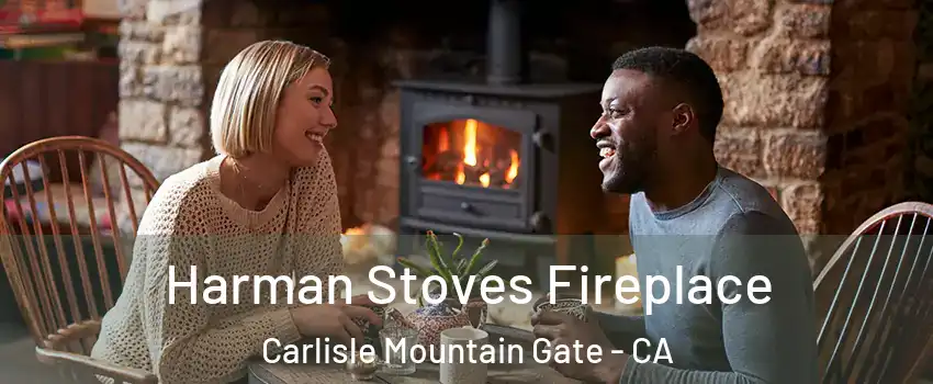 Harman Stoves Fireplace Carlisle Mountain Gate - CA