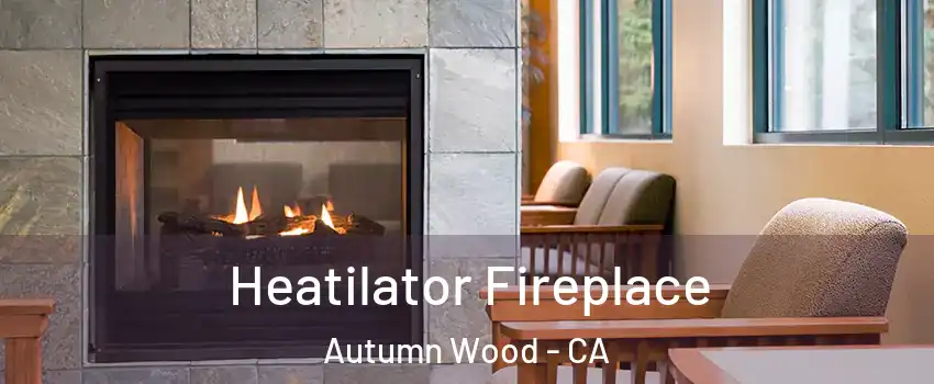 Heatilator Fireplace Autumn Wood - CA