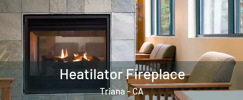 Heatilator Fireplace Triana - CA