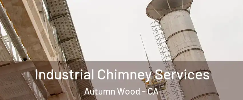 Industrial Chimney Services Autumn Wood - CA