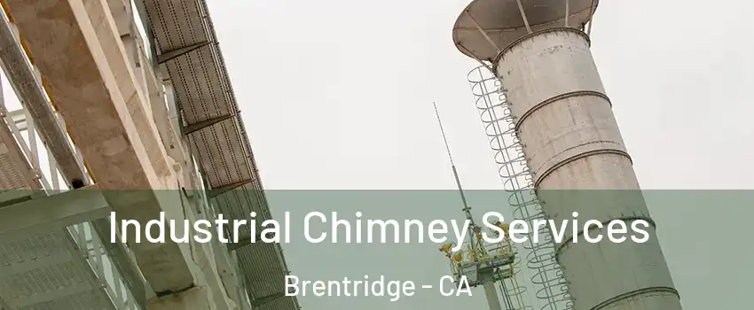 Industrial Chimney Services Brentridge - CA