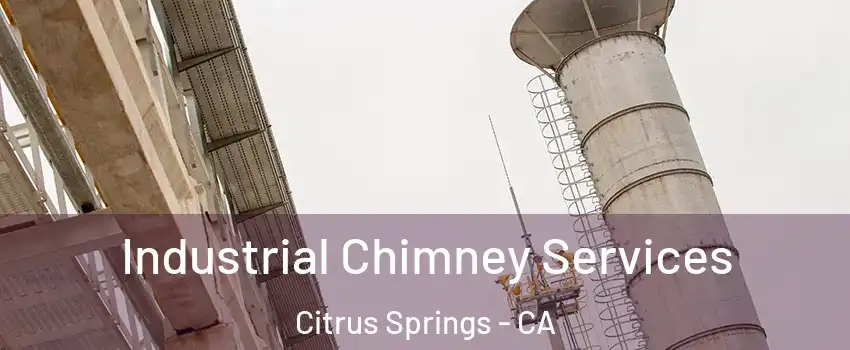 Industrial Chimney Services Citrus Springs - CA