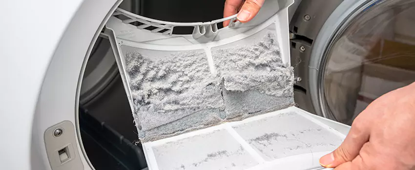 Best Dryer Lint Removal Company in Cliffhaven, California