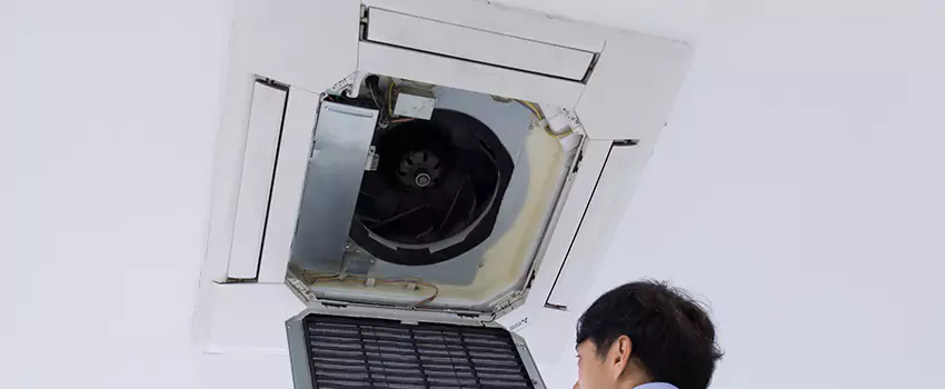 Benefits of Professional Air Duct Cleaning in Citrus Springs, California