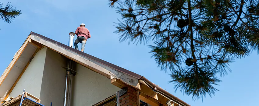 Birds Removal Contractors from Chimney in Cliffhaven, CA