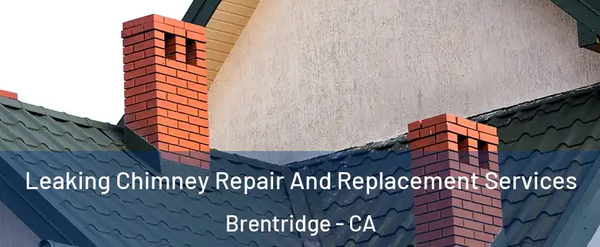 Leaking Chimney Repair And Replacement Services Brentridge - CA