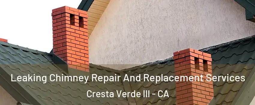 Leaking Chimney Repair And Replacement Services Cresta Verde III - CA
