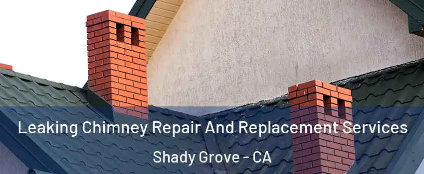 Leaking Chimney Repair And Replacement Services Shady Grove - CA