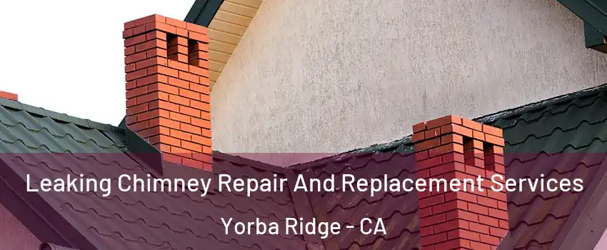 Leaking Chimney Repair And Replacement Services Yorba Ridge - CA