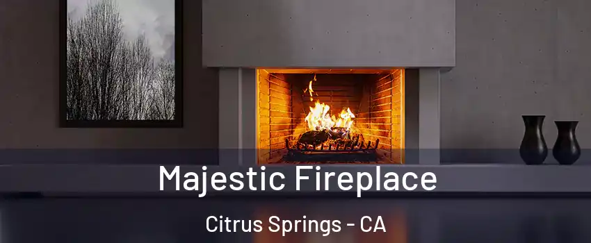 Majestic Fireplace Citrus Springs - CA