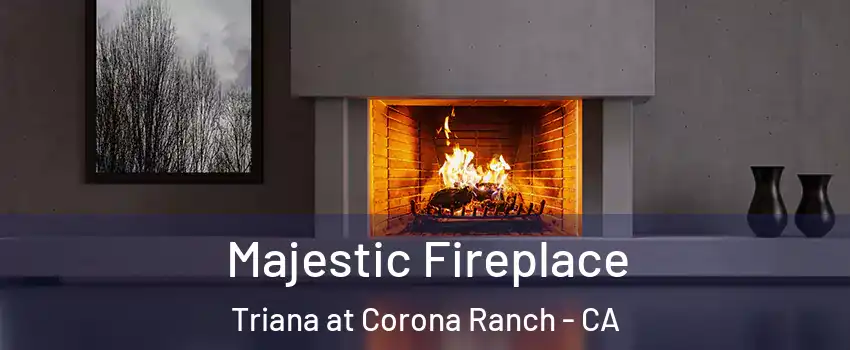 Majestic Fireplace Triana at Corona Ranch - CA