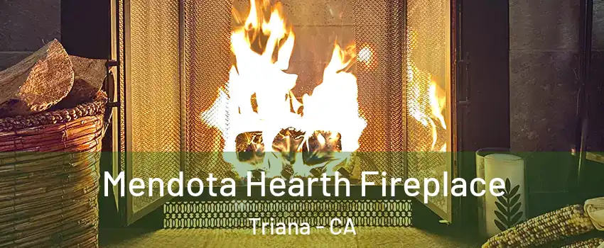 Mendota Hearth Fireplace Triana - CA