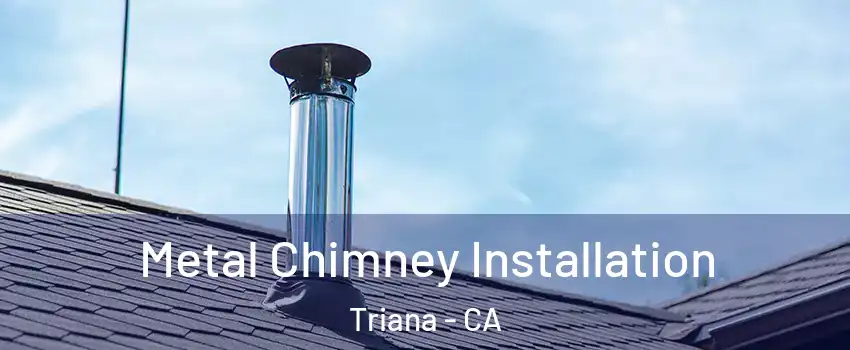 Metal Chimney Installation Triana - CA