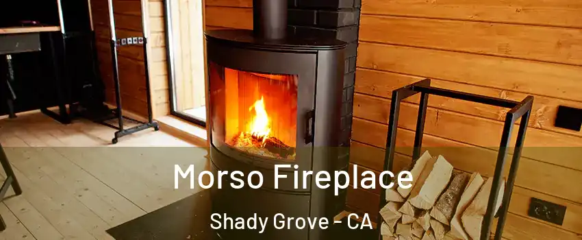 Morso Fireplace Shady Grove - CA