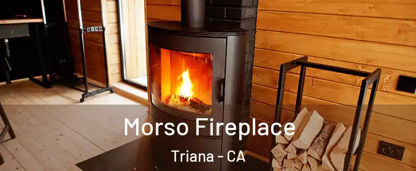 Morso Fireplace Triana - CA