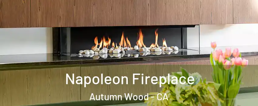 Napoleon Fireplace Autumn Wood - CA