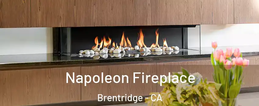 Napoleon Fireplace Brentridge - CA