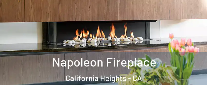 Napoleon Fireplace California Heights - CA