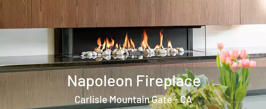 Napoleon Fireplace Carlisle Mountain Gate - CA