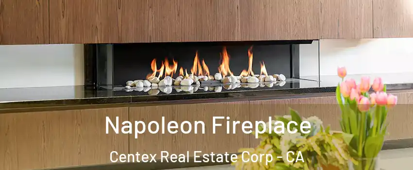 Napoleon Fireplace Centex Real Estate Corp - CA