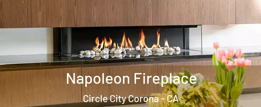 Napoleon Fireplace Circle City Corona - CA
