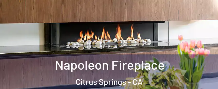Napoleon Fireplace Citrus Springs - CA