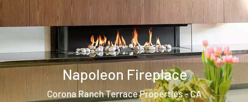 Napoleon Fireplace Corona Ranch Terrace Properties - CA