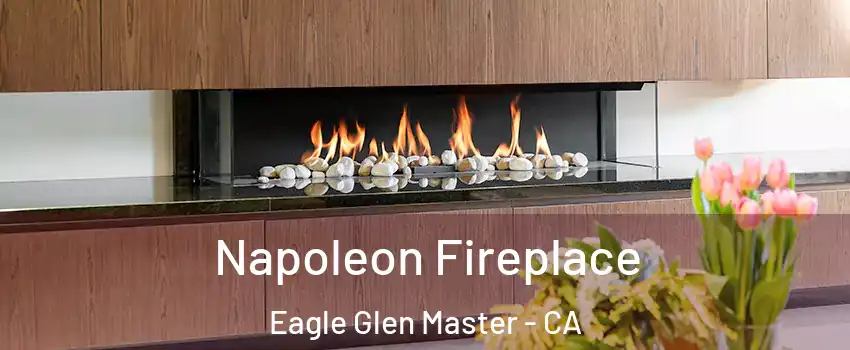 Napoleon Fireplace Eagle Glen Master - CA