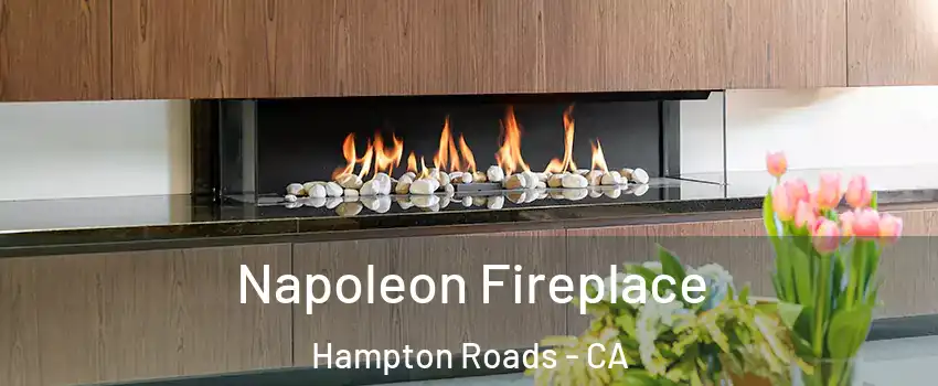 Napoleon Fireplace Hampton Roads - CA