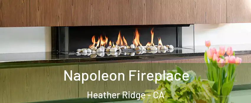 Napoleon Fireplace Heather Ridge - CA