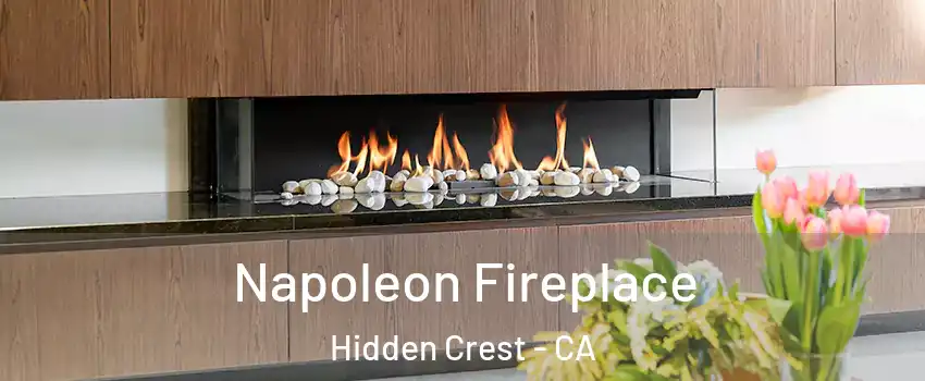 Napoleon Fireplace Hidden Crest - CA