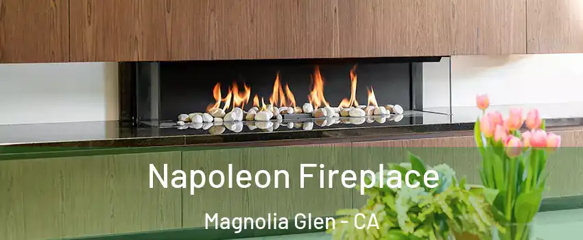 Napoleon Fireplace Magnolia Glen - CA