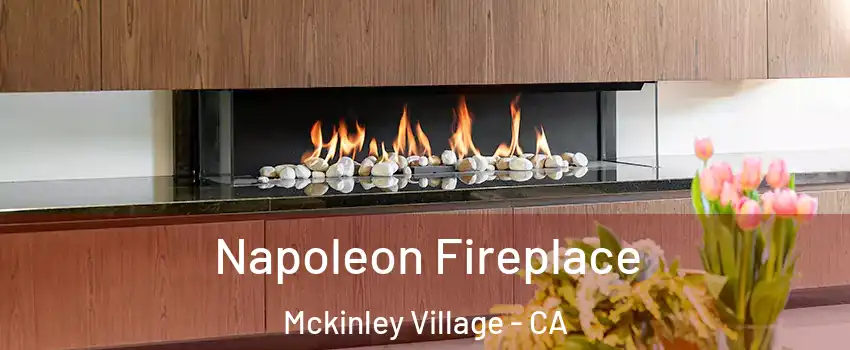 Napoleon Fireplace Mckinley Village - CA