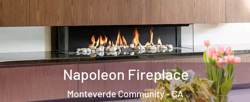 Napoleon Fireplace Monteverde Community - CA