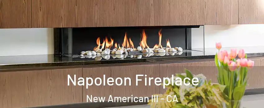 Napoleon Fireplace New American III - CA