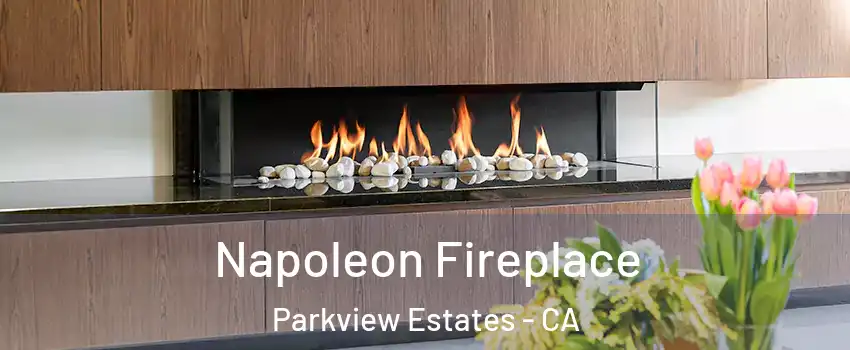 Napoleon Fireplace Parkview Estates - CA
