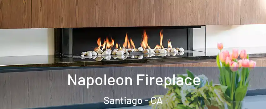 Napoleon Fireplace Santiago - CA