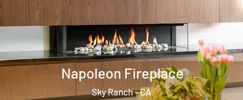 Napoleon Fireplace Sky Ranch - CA