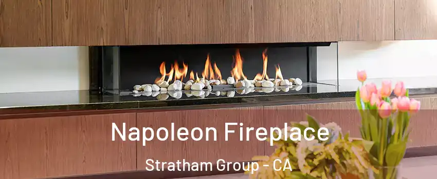 Napoleon Fireplace Stratham Group - CA