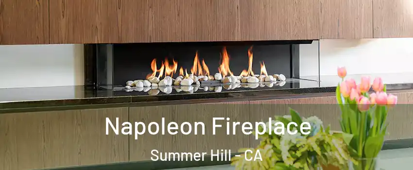Napoleon Fireplace Summer Hill - CA