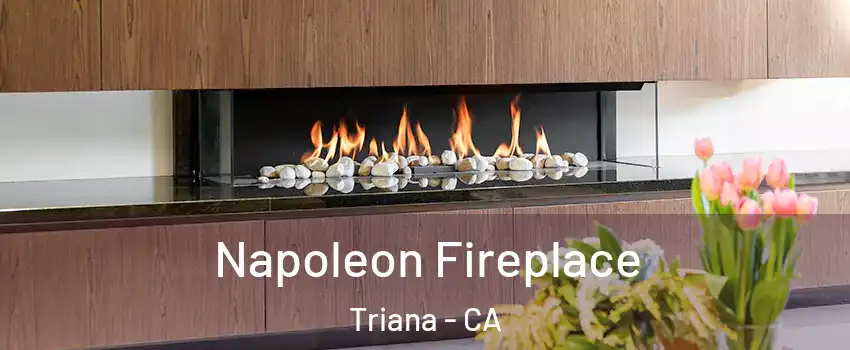 Napoleon Fireplace Triana - CA