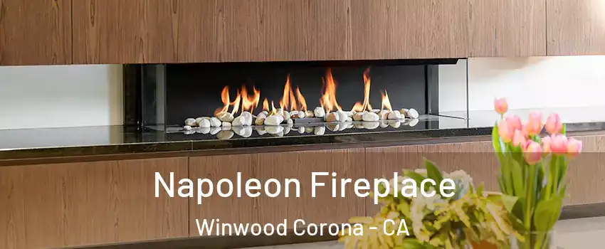 Napoleon Fireplace Winwood Corona - CA