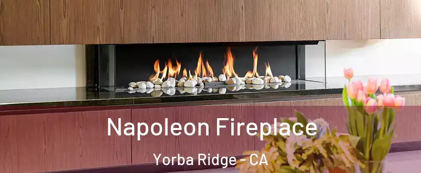 Napoleon Fireplace Yorba Ridge - CA
