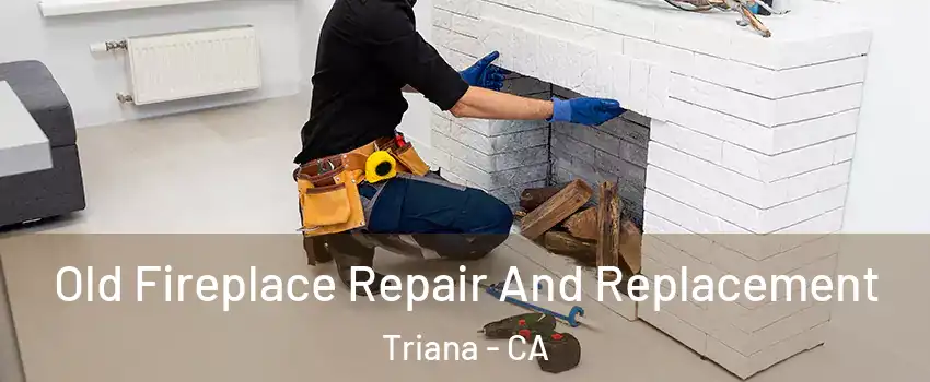 Old Fireplace Repair And Replacement Triana - CA