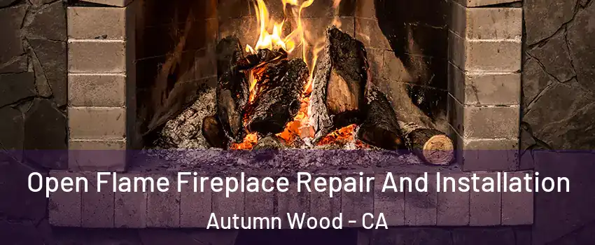 Open Flame Fireplace Repair And Installation Autumn Wood - CA