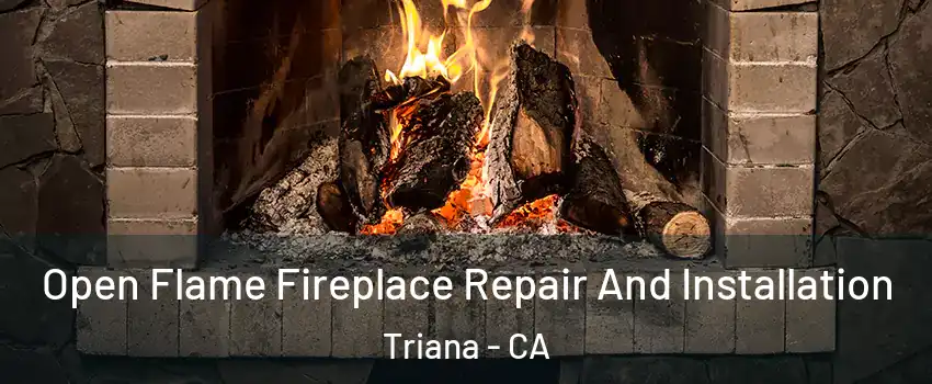 Open Flame Fireplace Repair And Installation Triana - CA
